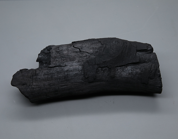 1741760575365875.png 圖片 3.png