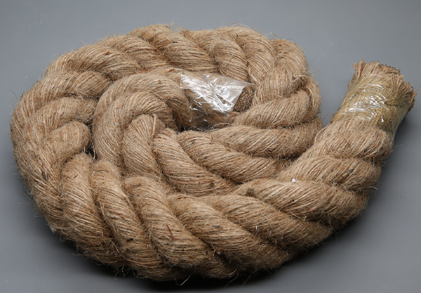 1741760832957296.png 圖片 25.png