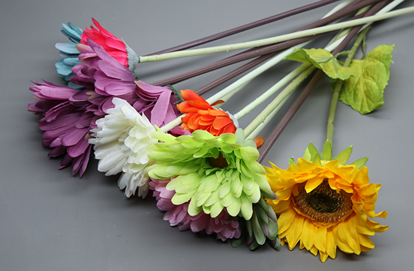 1741760883643891.png 圖片 31.png